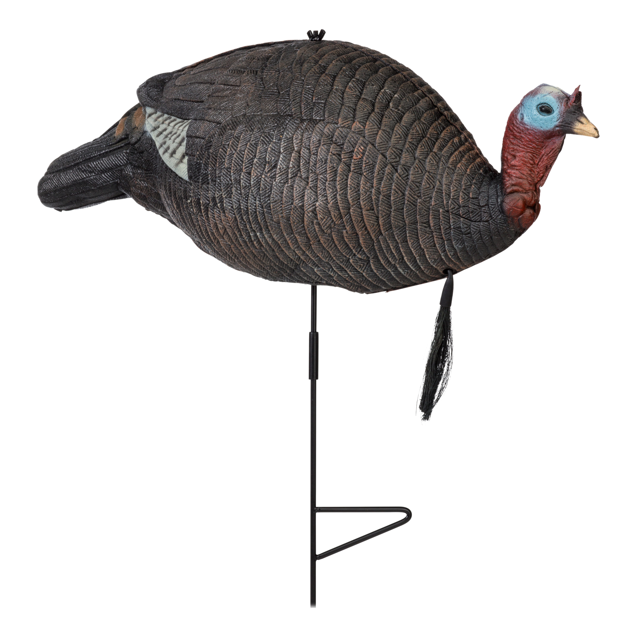 Pursuit Foam Upright Jake Turkey Decoy Bass Pro Shops